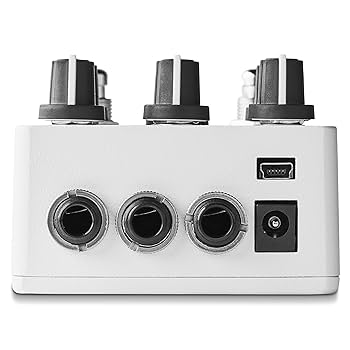 Amazon.com: Red Panda Particle V2 Granular Delay Pedal